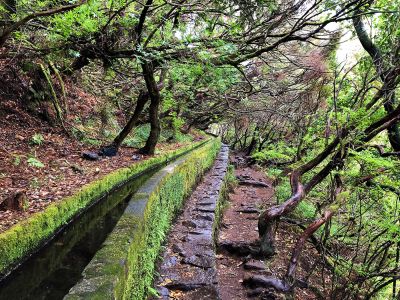 Levada Rabaçal